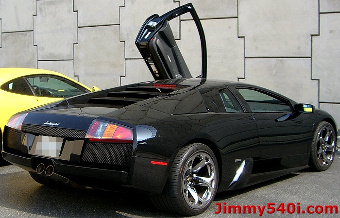 murcielago2.jpg